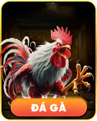 anh da ga1 hitclub - f168